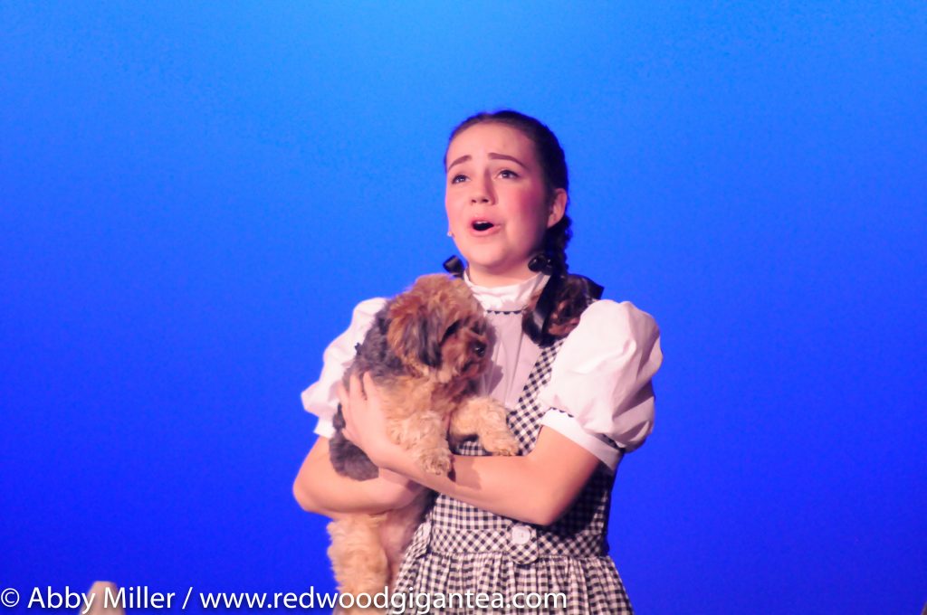 Tessa Hemphill in the "Wizard of Oz".