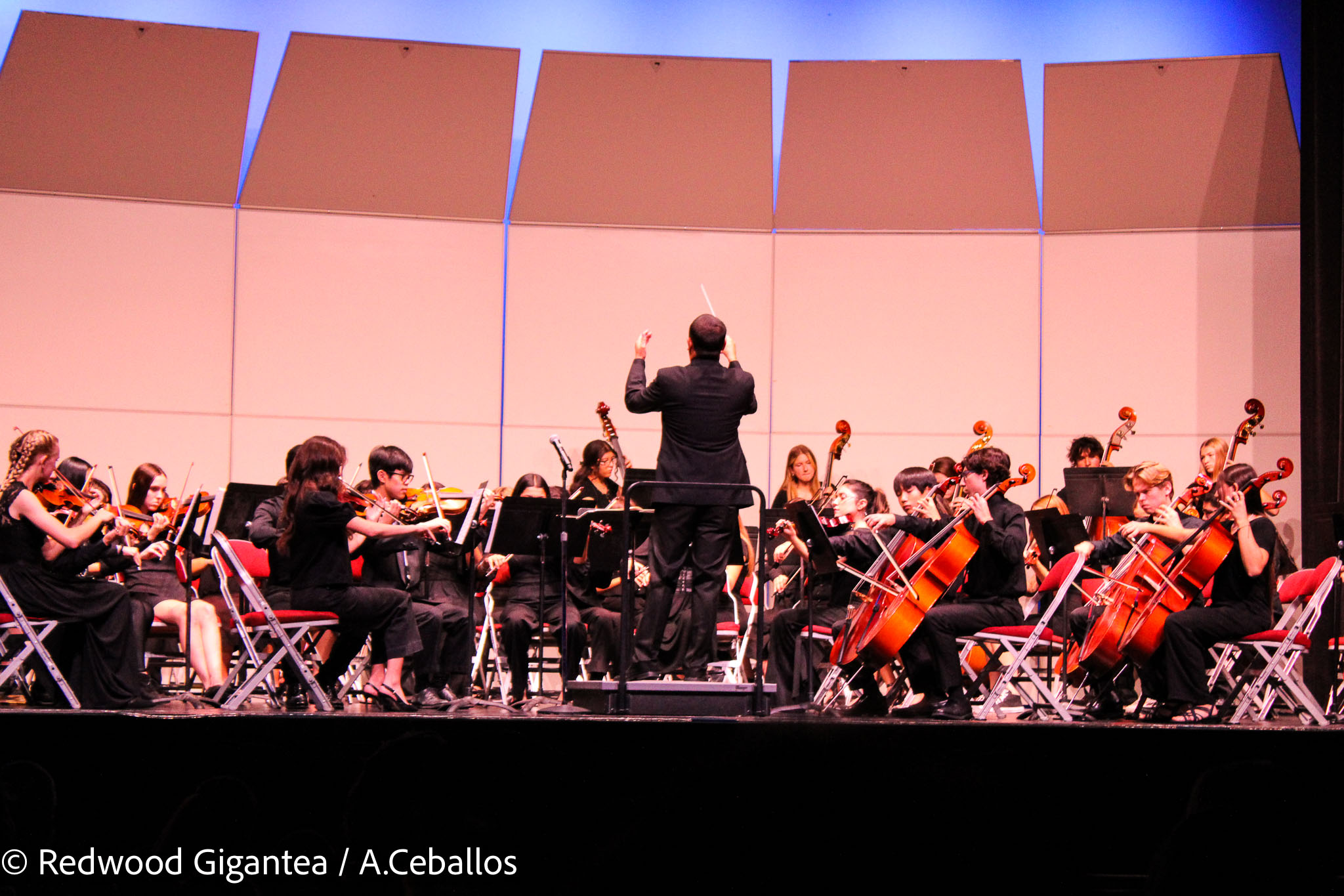 Fall Orchestra Concert 10.26.22-11 Fall Orchestra Concert 10.26.22-11