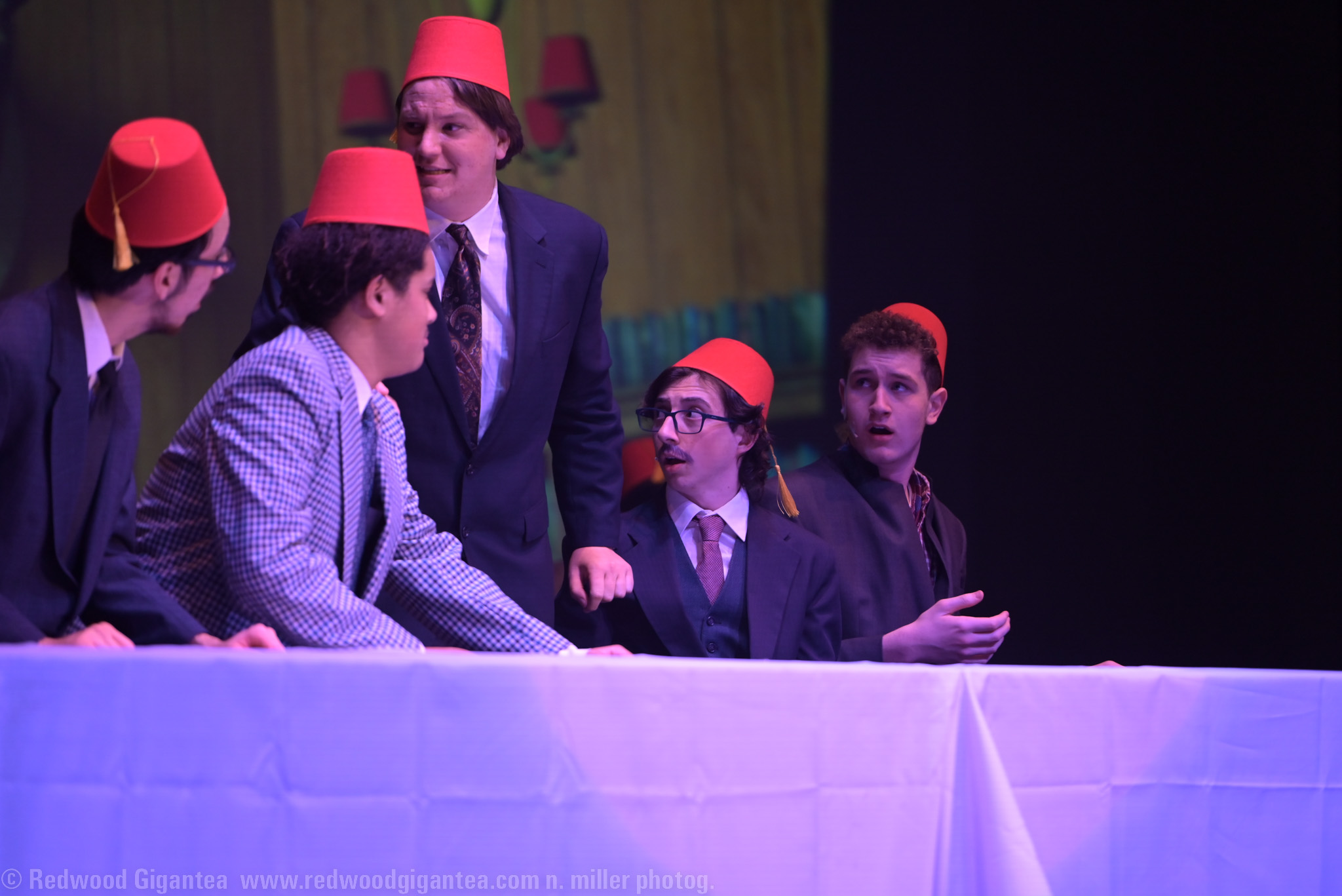 Bye Bye Birdie musical 2023 Birdie--155 Bye Bye Birdie musical 2023 Birdie--155