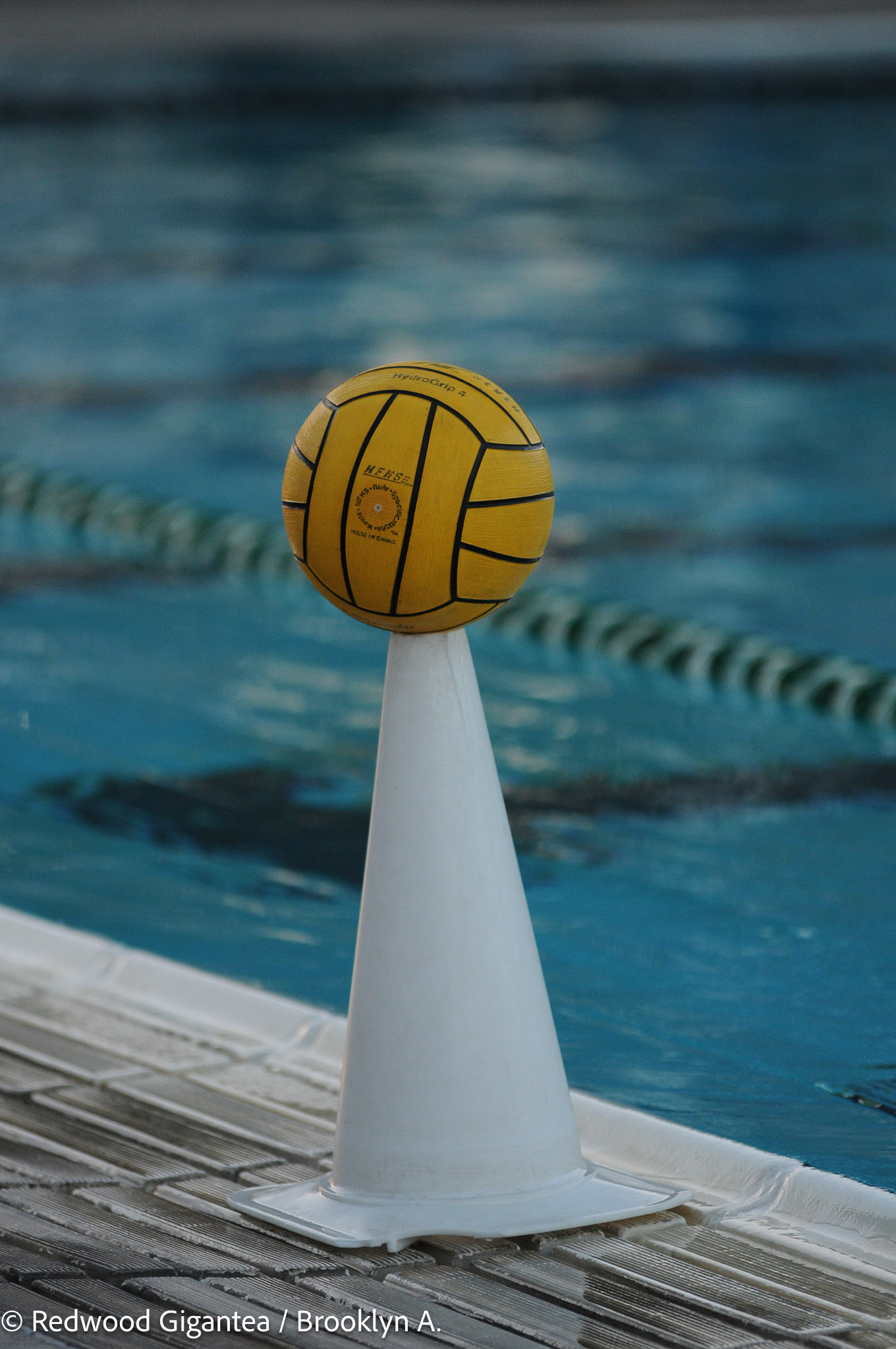 Varsity-Girls-Waterpolo-8.jpg