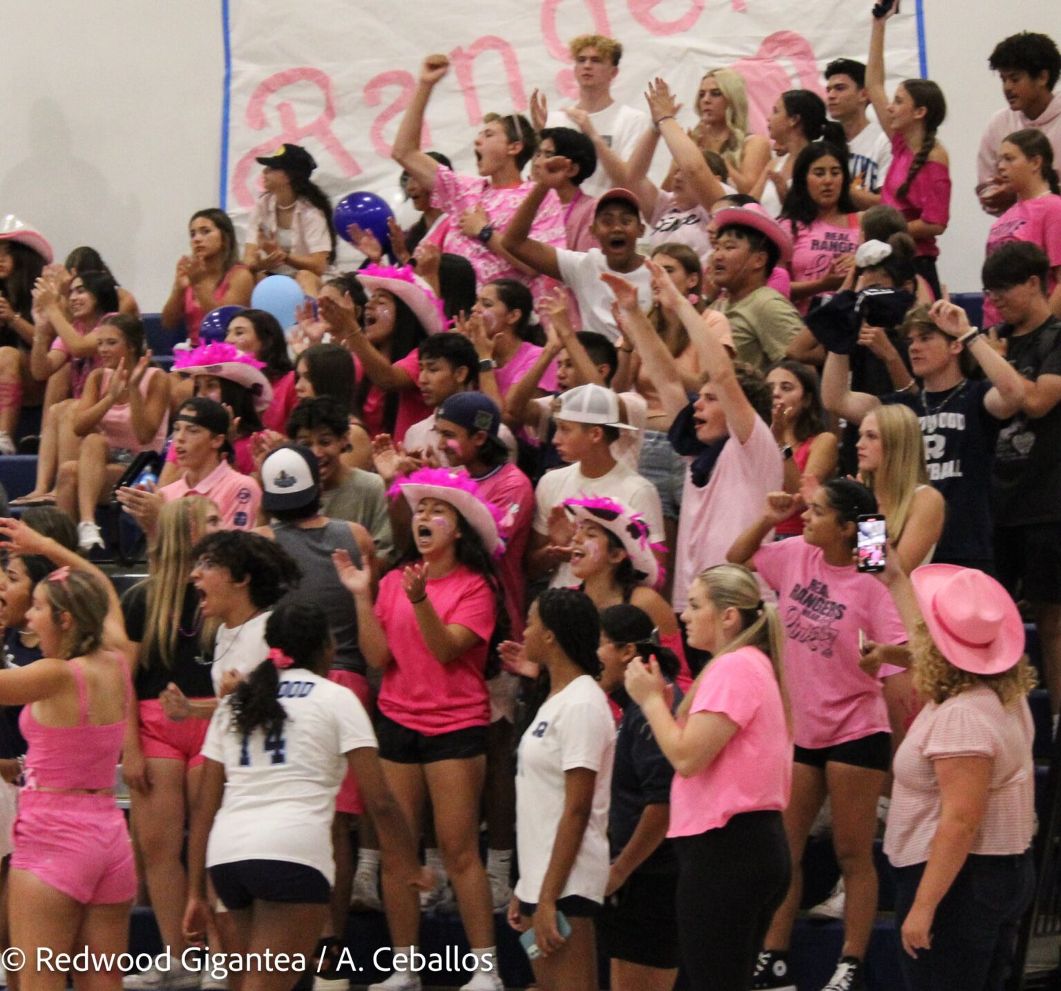 Is Ranger Pride Just for ASB Kids? – Redwood Gigantea