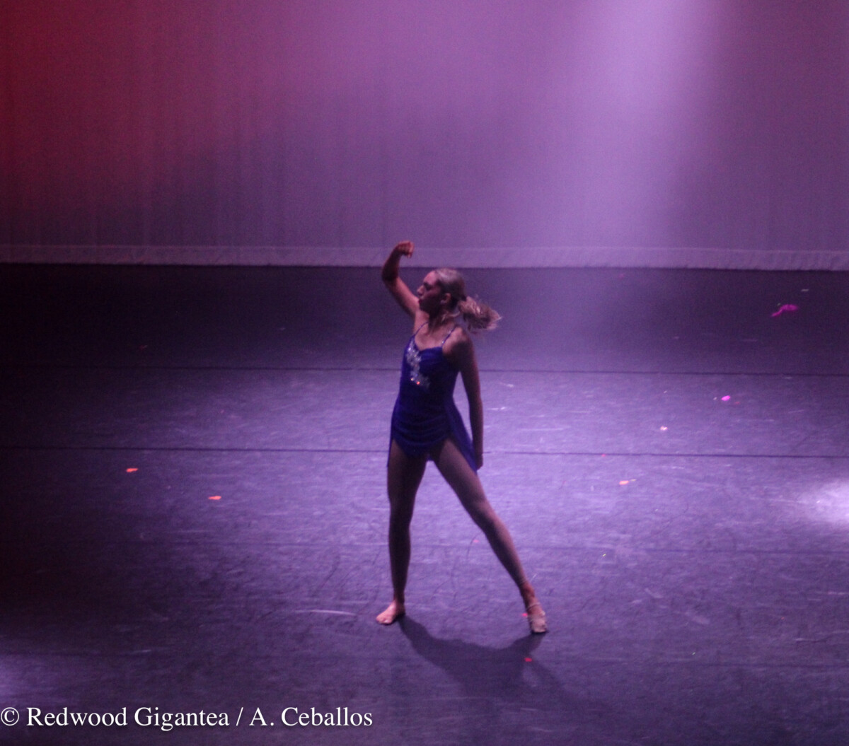 Photogallery; 2024 Dance Show-120 – Redwood Gigantea