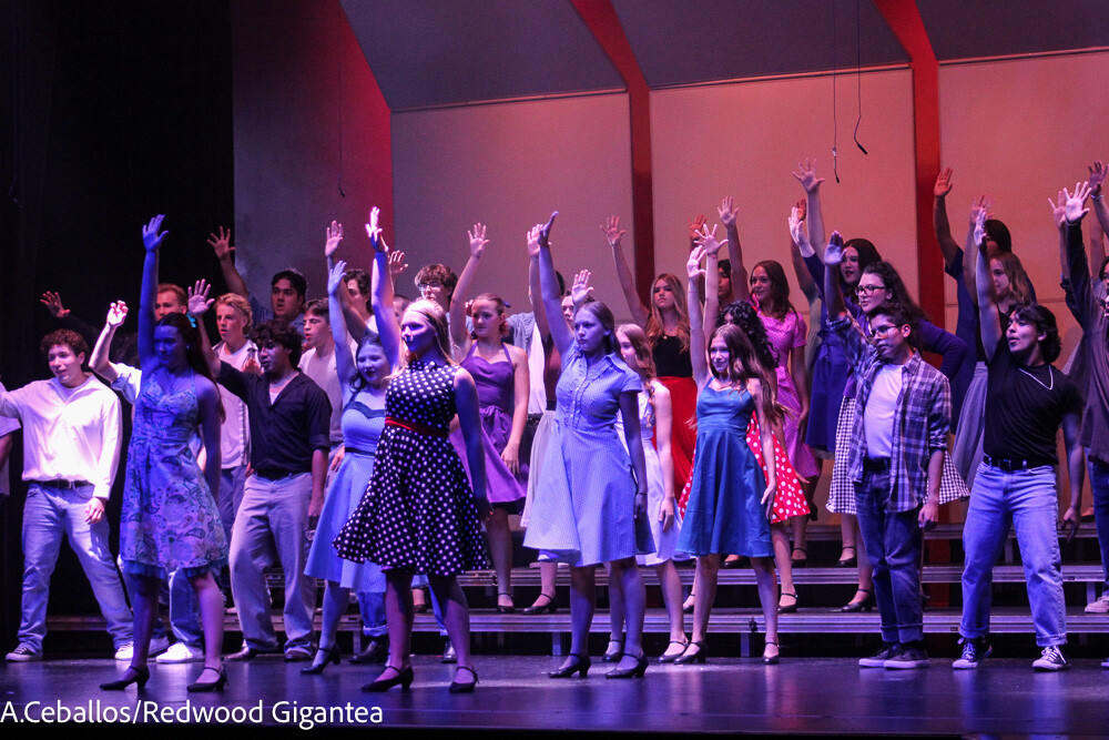 Photogallery- Spring Broadway Choir Show-150 – Redwood Gigantea